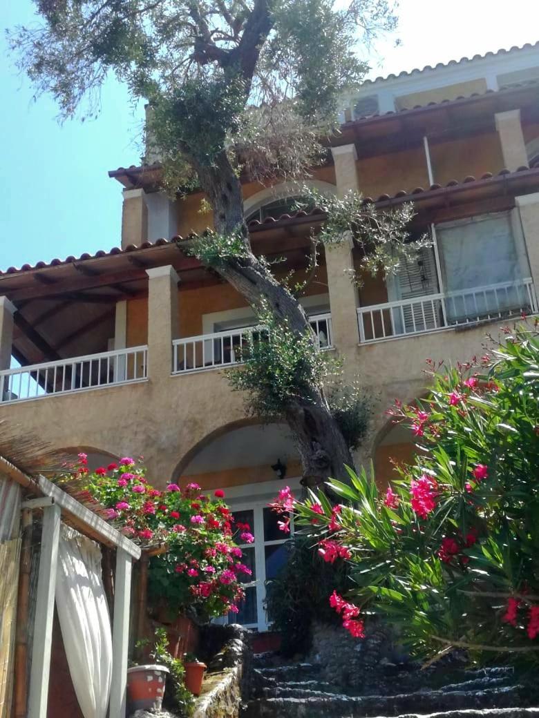Kohyli Beachfront House Agia Pelagia Chlomou ภายนอก รูปภาพ